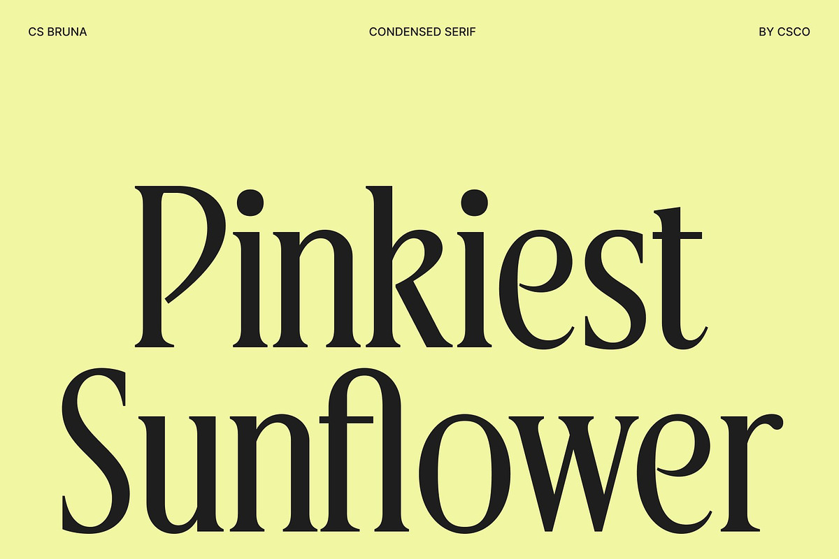 CS Bruna – Contemporary Font, a Serif Font by Craft Supply Co. (Photo 2 of 8)
