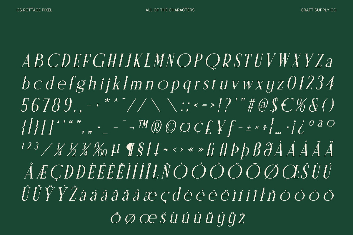 CS Rottage Pixel, a Serif Font by Craft Supply Co. (Photo 8 of 8)
