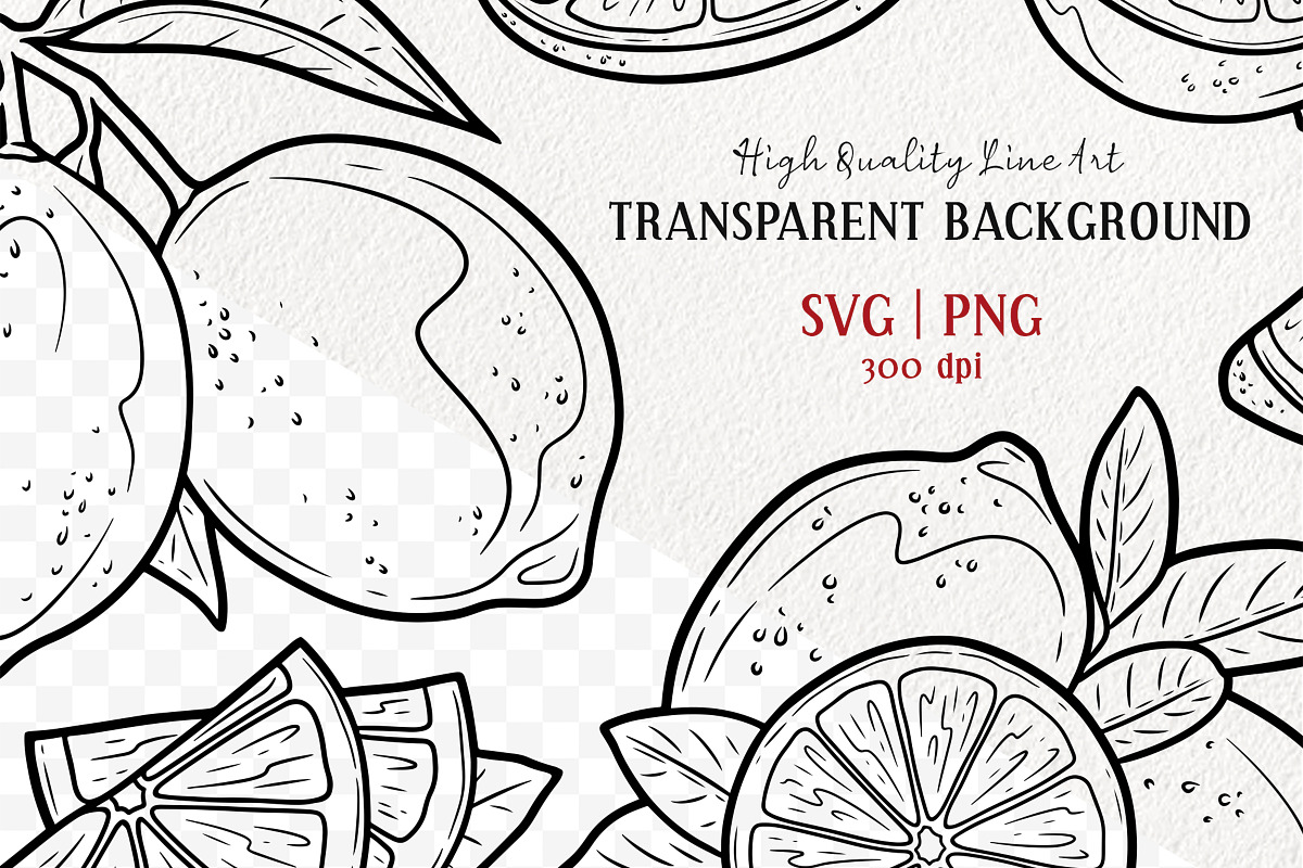 Lemon Citrus Vector Line Art Set, a Decorative Illustration by MadliArt (Photo 2 of 4)