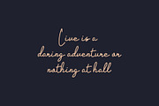 Eaglind | modern script fonts, a Script Font by Lightsense (Thumbnail 6 of 10)