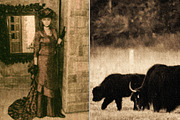 The Old Western Collection Actions, an Action Add-On by MarieMcKennaDesigns (Thumbnail 2 of 5)