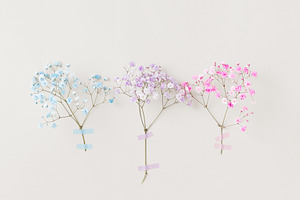 Delicate pastel flowers from floral, a Beauty & Fashion Photo by Edalin's Store