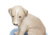 Puppies Dog Breeds Big Bundle 135Pcs, an Animal Illustration by Dneprstock (Thumbnail 18 of 68)