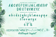 Summer Filling | Display Font, a Handwritten Font by esamaradany (Thumbnail 6 of 7)