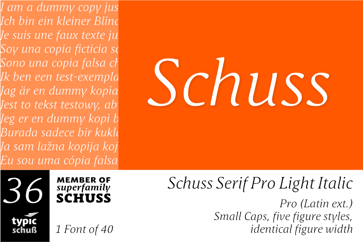 SchussSerifProLigIta No.36 (1 Font)