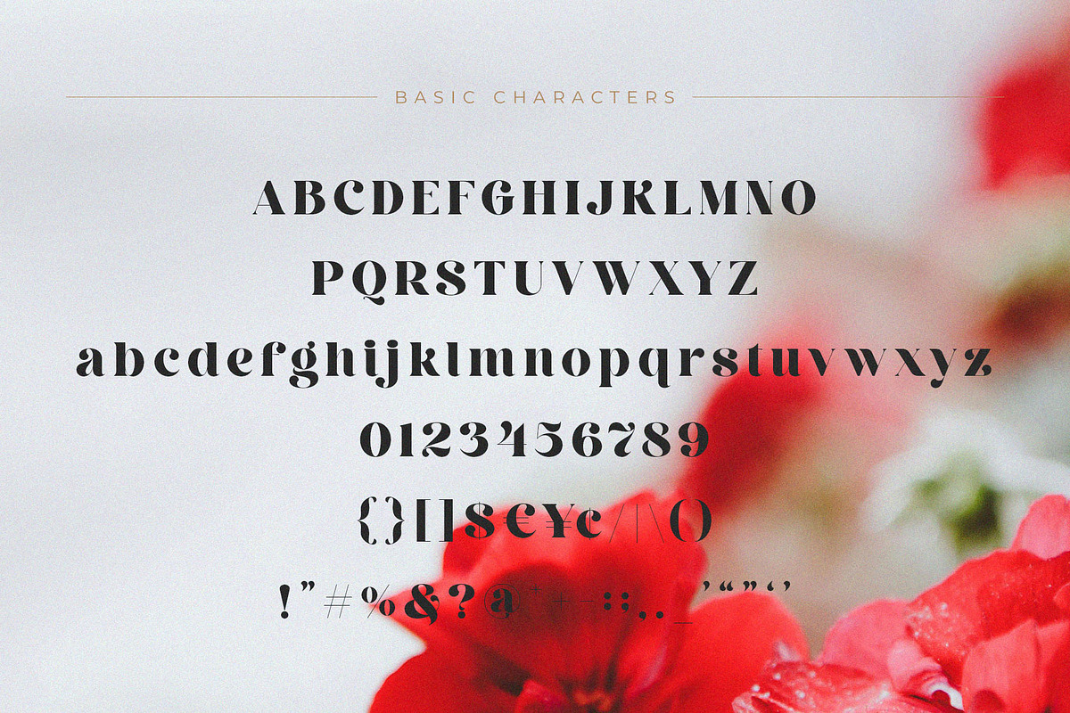 Rekalgera - Gorgeous Display Serif, a Serif Font by BrandSemut (Photo 10 of 10)