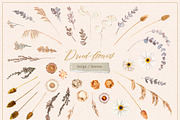 Dried flowers & wreaths, watercolor, an Illustration by Lore_V (Thumbnail 7 of 11)