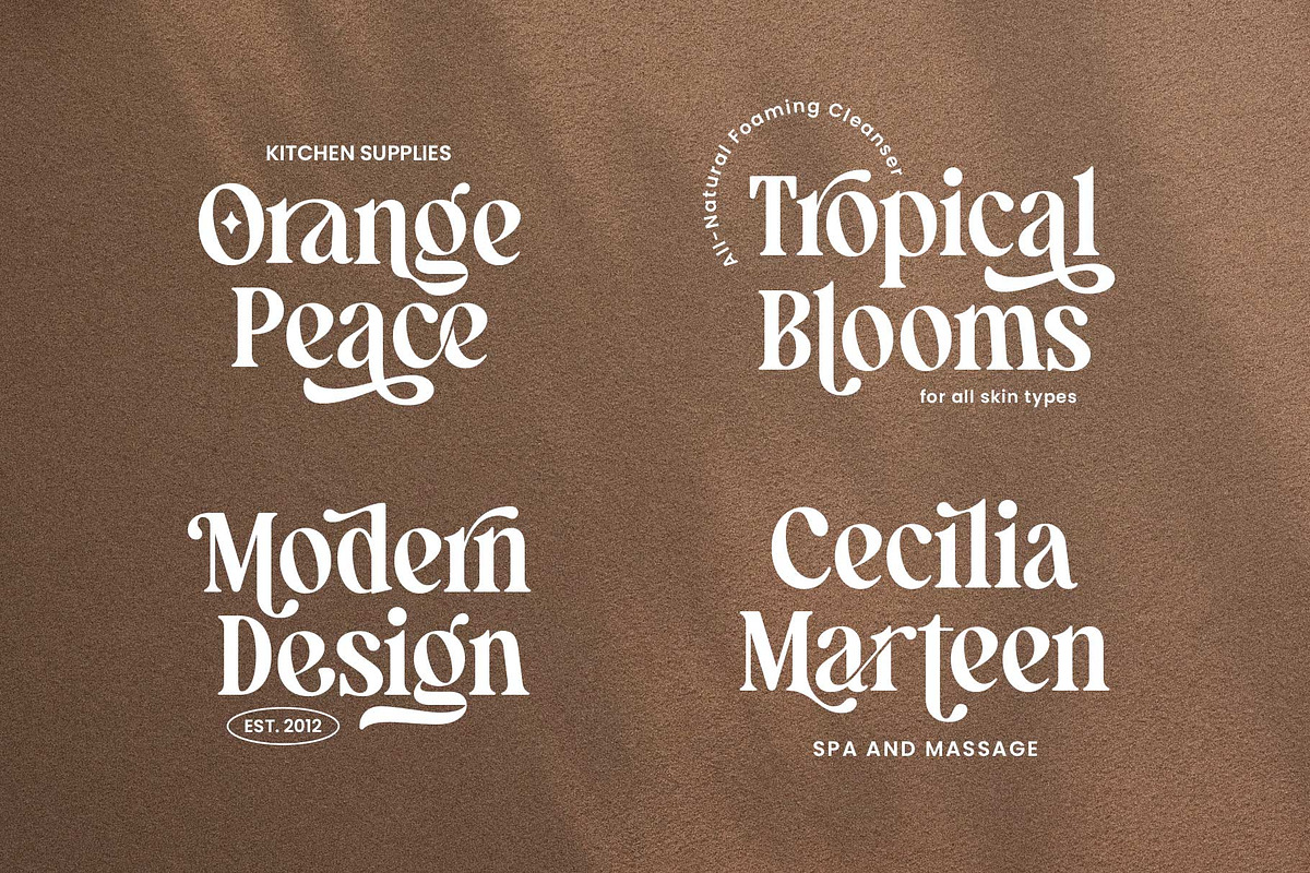 Manshera Romika - Modern Vintage, a Serif Font by Arterfak Project (Photo 10 of 15)