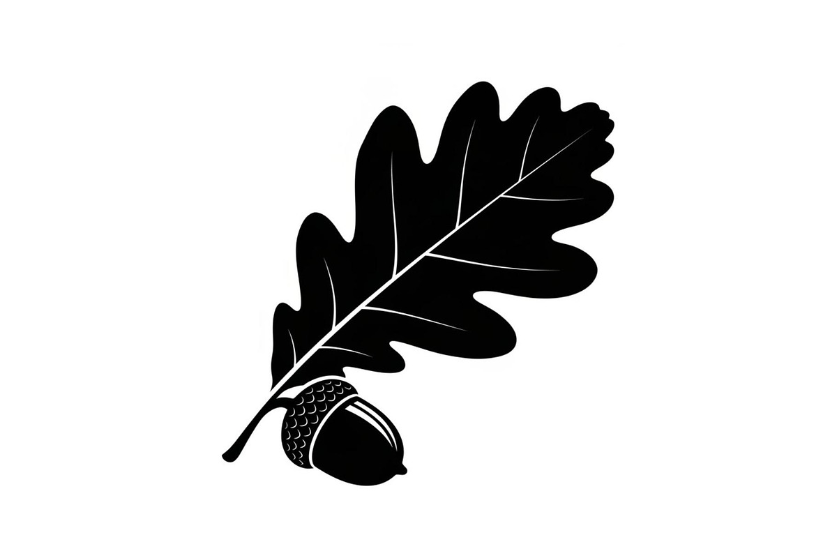 Floral Ornament Silhouette Bundle, an Illustration by BIPLOB EXPERT (Photo 4 of 51)