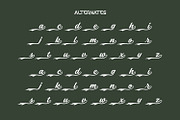 Floating Retro Script Vintage Font, a Handwritten Font by WhymoreArt (Thumbnail 12 of 12)