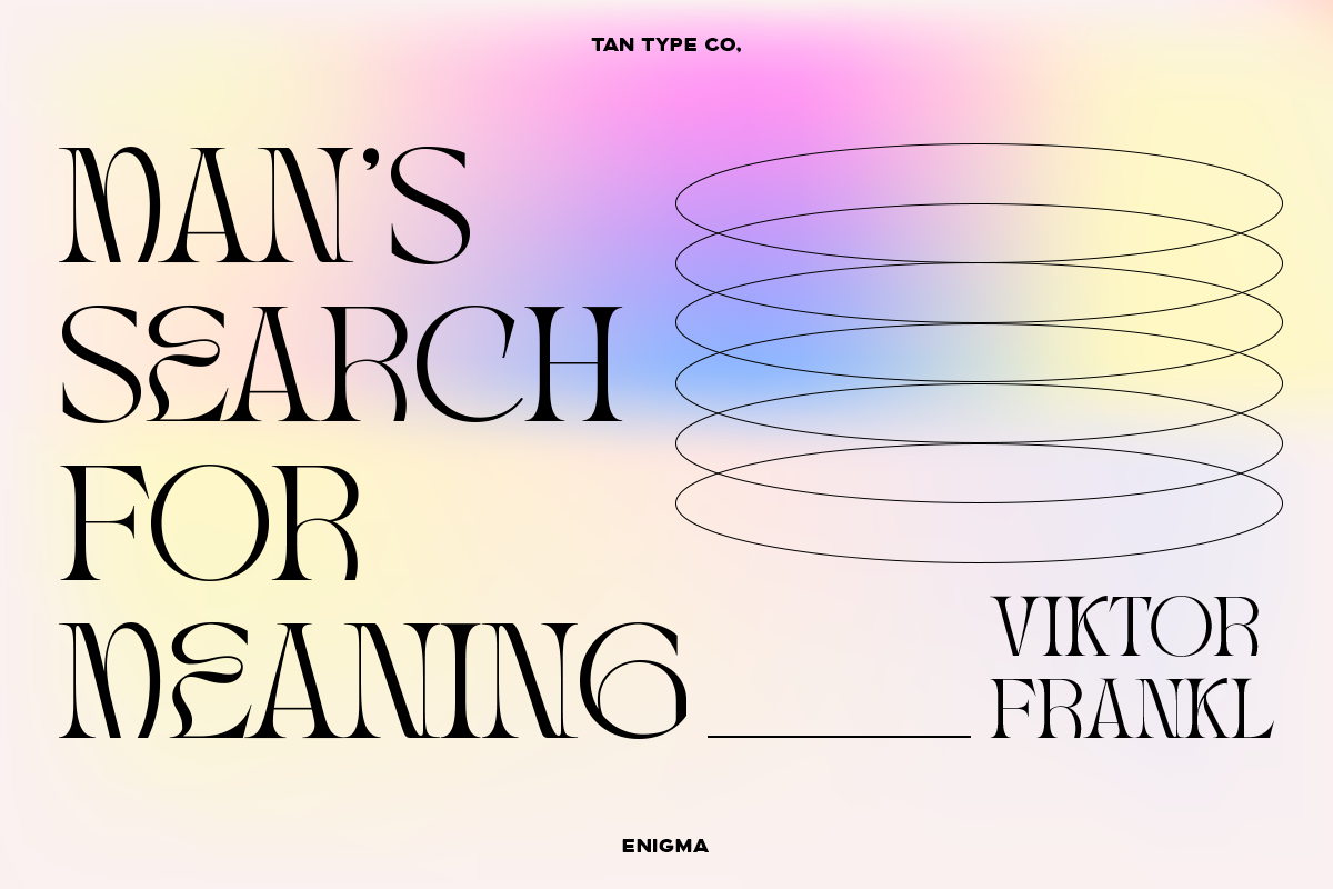 TAN - ENIGMA, a Serif Font by TanType (Photo 16 of 16)