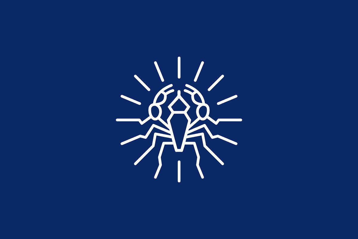 Creative Scorpion and Sunrays logo, a Branding & Logo Template by Shahjhan (Photo 2 of 4)