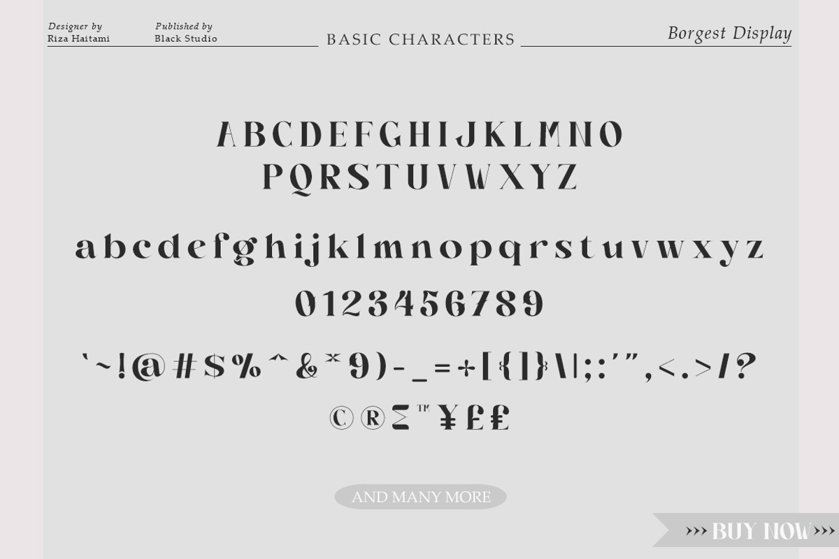 Borgest Display, a Serif Font by Black Studio (Photo 10 of 15)