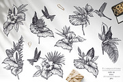 Tropical nature vector set, an Animal Illustration by Molly art (Thumbnail 4 of 15)