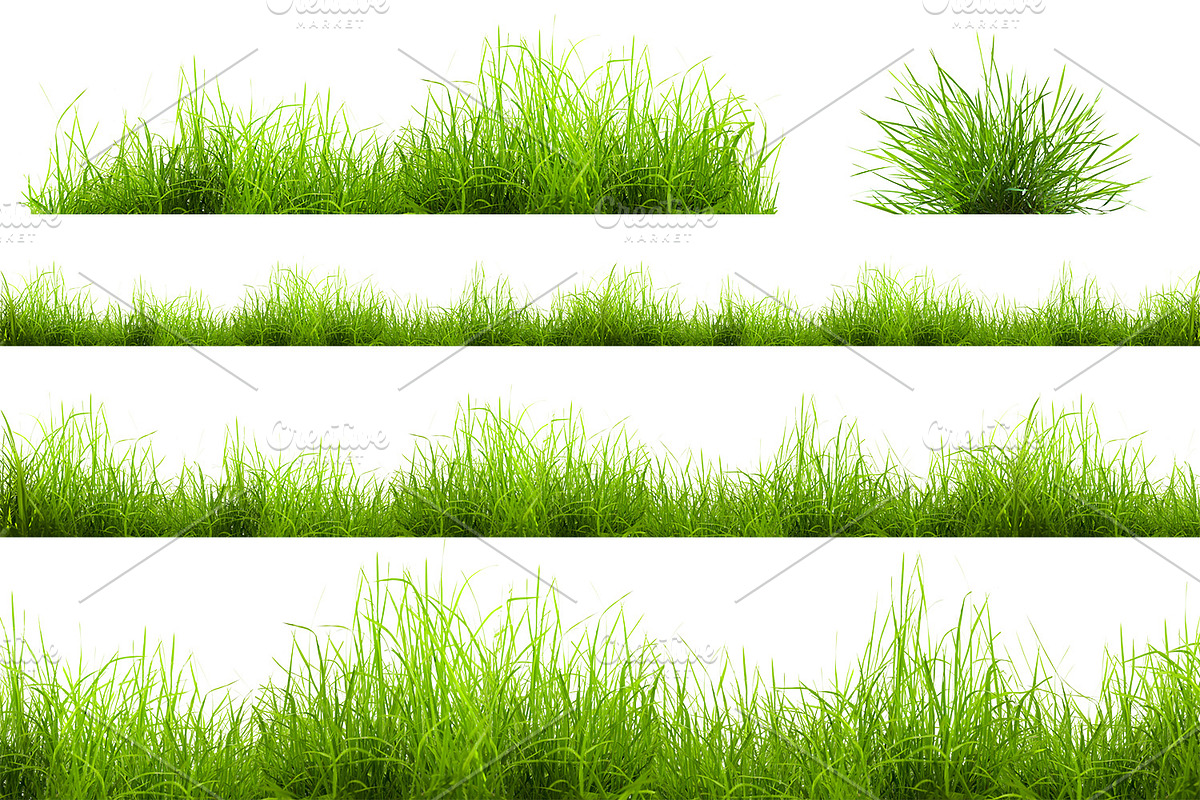 Set of isolated grass, a Texture Graphic by RM_design (Photo 2 of 3)