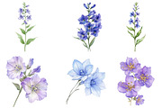 Larkspur Flower Watercolor Cliparts, an Illustration by Watercolor design (Thumbnail 3 of 4)