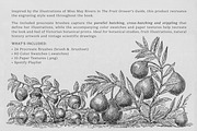 Fruit Grower's Guide Procreate Kit, a Brush Add-On by Digi Life (Thumbnail 2 of 9)
