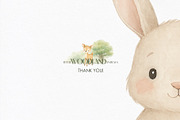 Woodland Animals Watercolor, an Animal Illustration by Ana-Sakuta (Thumbnail 10 of 10)