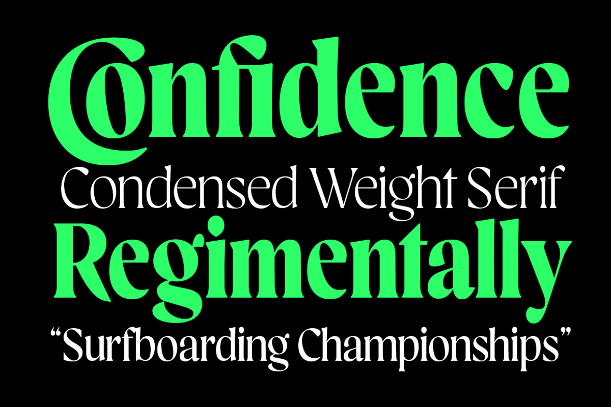 Blacklady Font Family, a Serif Font by Mulkan Nazir (Photo 10 of 15)