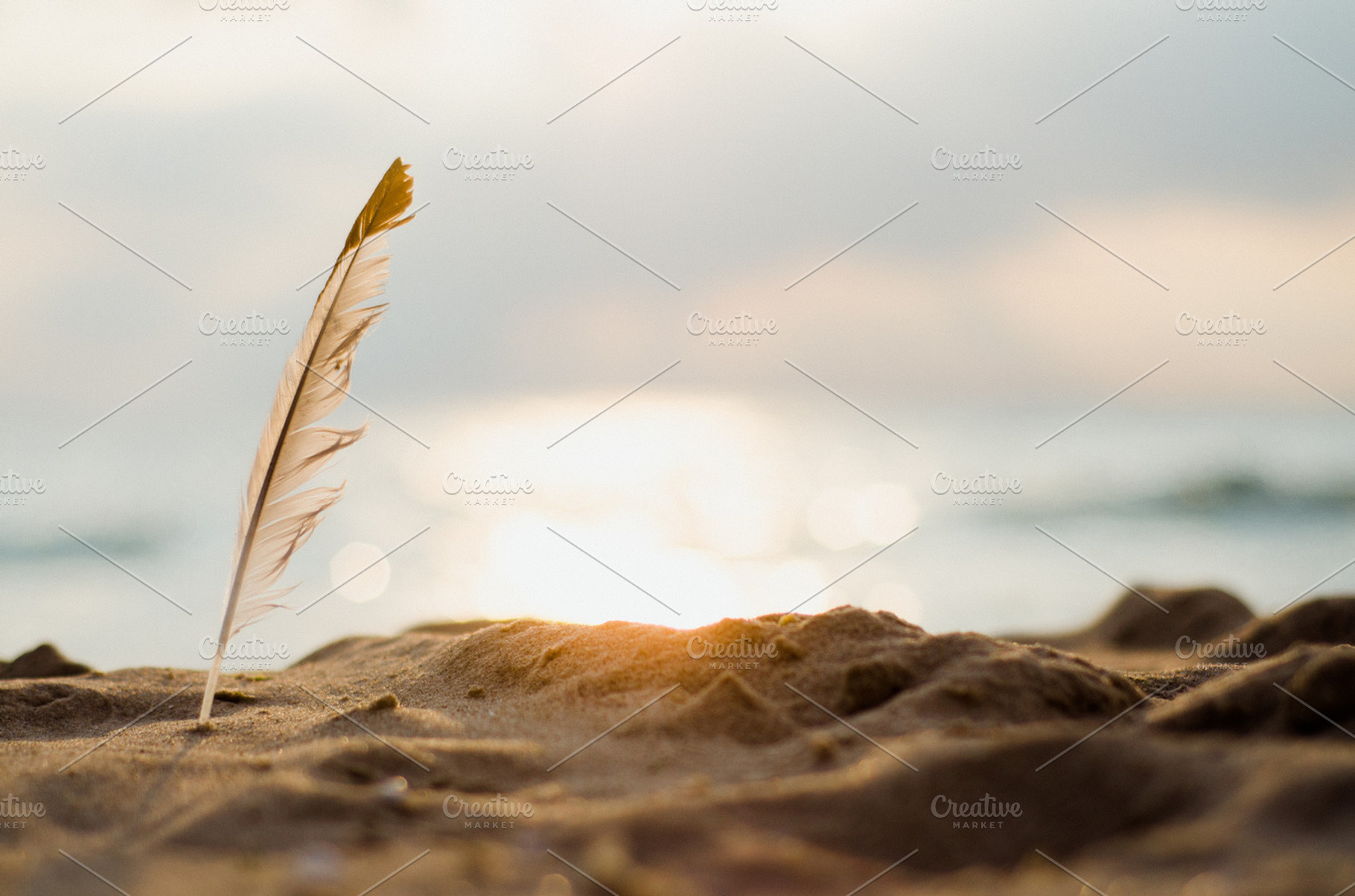 A Memory Containing Photography Landscape And Beach