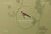 Embossed Papers and Frames Bundle, a Social Media Template by The Flossy Finch (Thumbnail 21 of 22)