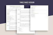 ATS Nurse Resume Template for word, a Resume Template by aivos (Thumbnail 4 of 7)