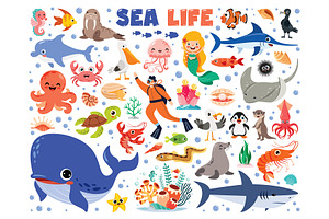 Vector Sea Life Elements