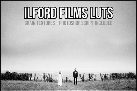 Ilford Films LUTs, a Plug-in Add-On by Raztrend