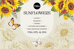 Sunflowers PNG, EPS, AI, SVG