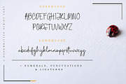 Jakarta Vise Script, a Script Font by Cherryline Master (Thumbnail 4 of 5)