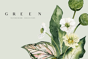 SALE! GREEN-watercolor Collection