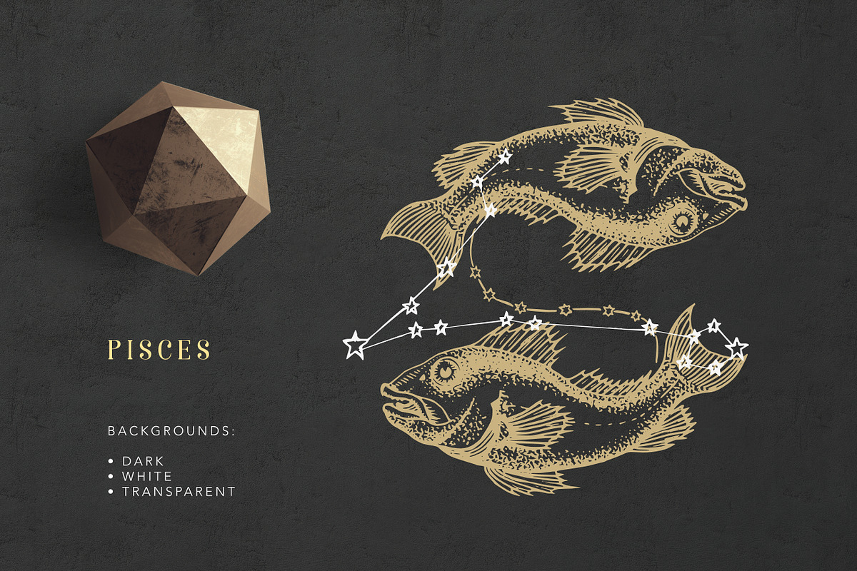Astrology Zodiac Collection, a Decorative Illustration by Chewie Co (Photo 11 of 15)