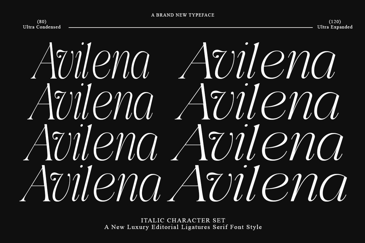 Aviluero Rasnora | 27 Font Files, a Serif Font by IM Studio (Photo 6 of 13)
