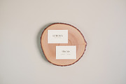 Lfrosa - Business Card Mockups, a Mockup by notgreystudio (Thumbnail 6 of 8)