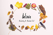 Deliria Handwriting Font, a Script Font by Designerbundle (Thumbnail 1 of 2)