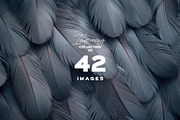 BACKGROUND BIRD VARIOUS FEATHERS, a Background Graphic by Sophico (Thumbnail 5 of 5)