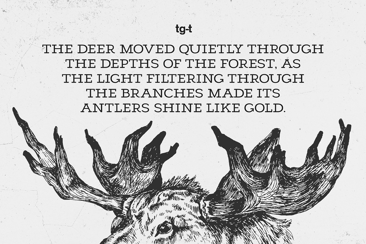 Cendro Slab - Slab Serif Font, a Slab Serif Font by Tiga Type (Photo 6 of 8)