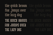 Adore Modern Serif Font, a Serif Font by Luna Shop (Thumbnail 5 of 5)