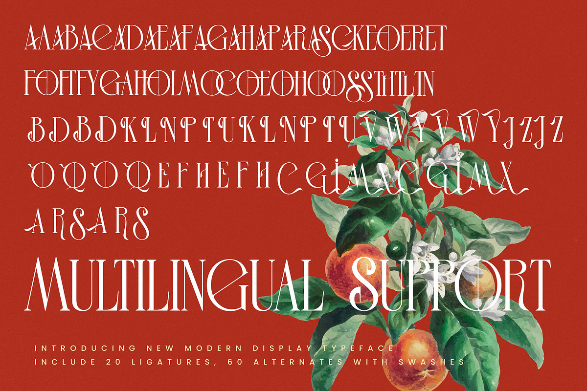 Leodarck New Modern Display Serif, a Serif Font by timelesstype.co (Photo 18 of 20)