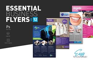 Essential Business Flyers Vol 12