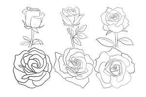 Rose Outline Set 2 Procreate Brush