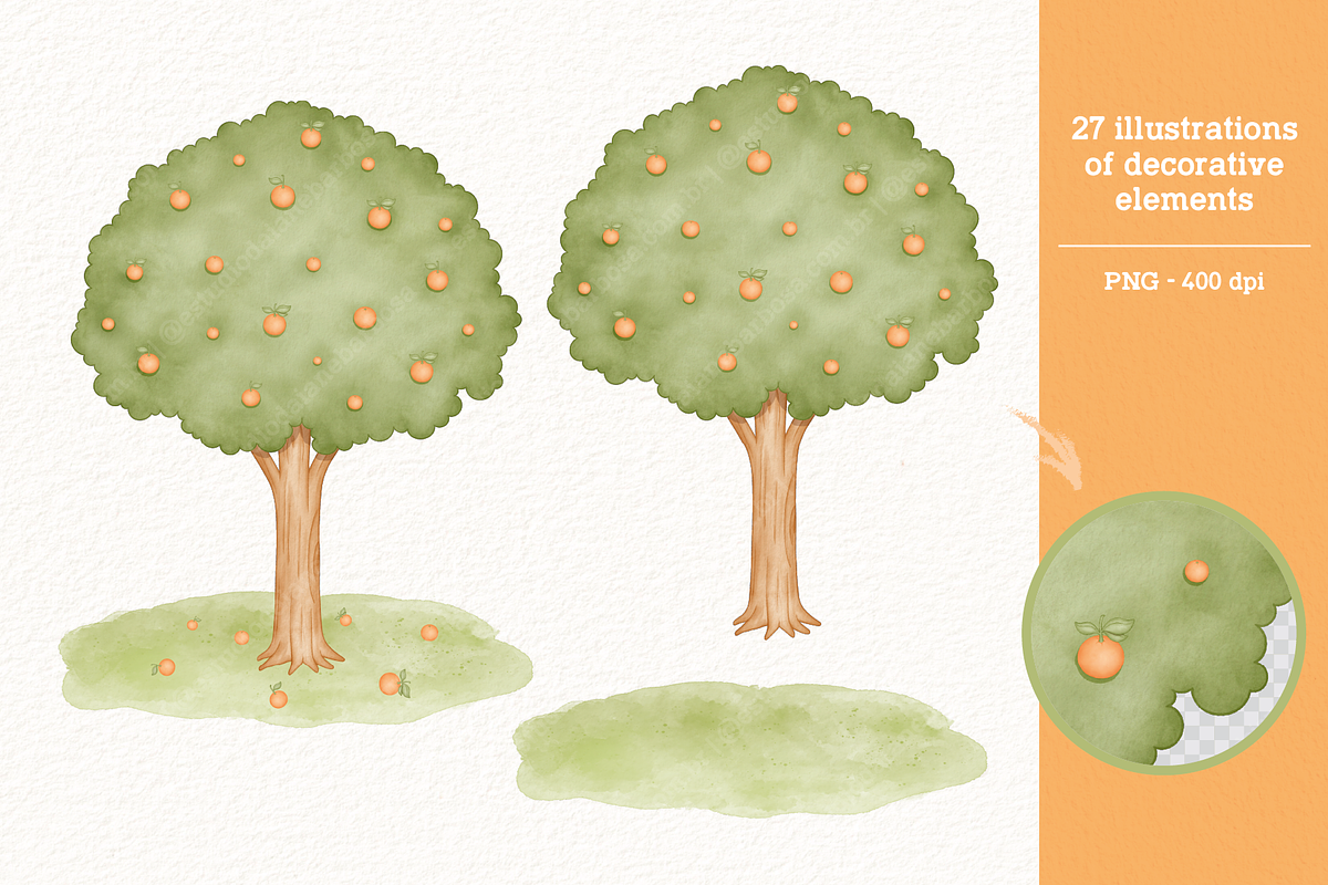 Sweet Orange - Cliparts Set, an Illustration by Estudio Daiane Barbosa (Photo 5 of 8)