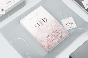 Silver Snowly - Font Duo