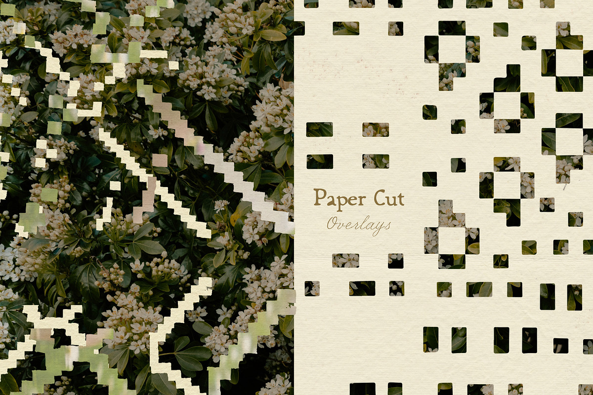 Papercut Paper Textures & Overlays, a Background Graphic by Laras Wonderland (Photo 12 of 16)
