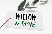 Willow & Thyme with Logo Ornaments, a Script Font by Storyteller Design (Thumbnail 1 of 10)