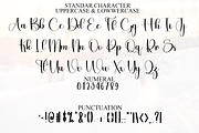 Planner Samantha, a Handwritten Font by FreshTypeINK (Thumbnail 4 of 8)