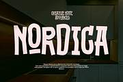 Bakoze - Modern Decorative Font, a Sans Serif Font by Grontype (Thumbnail 9 of 10)