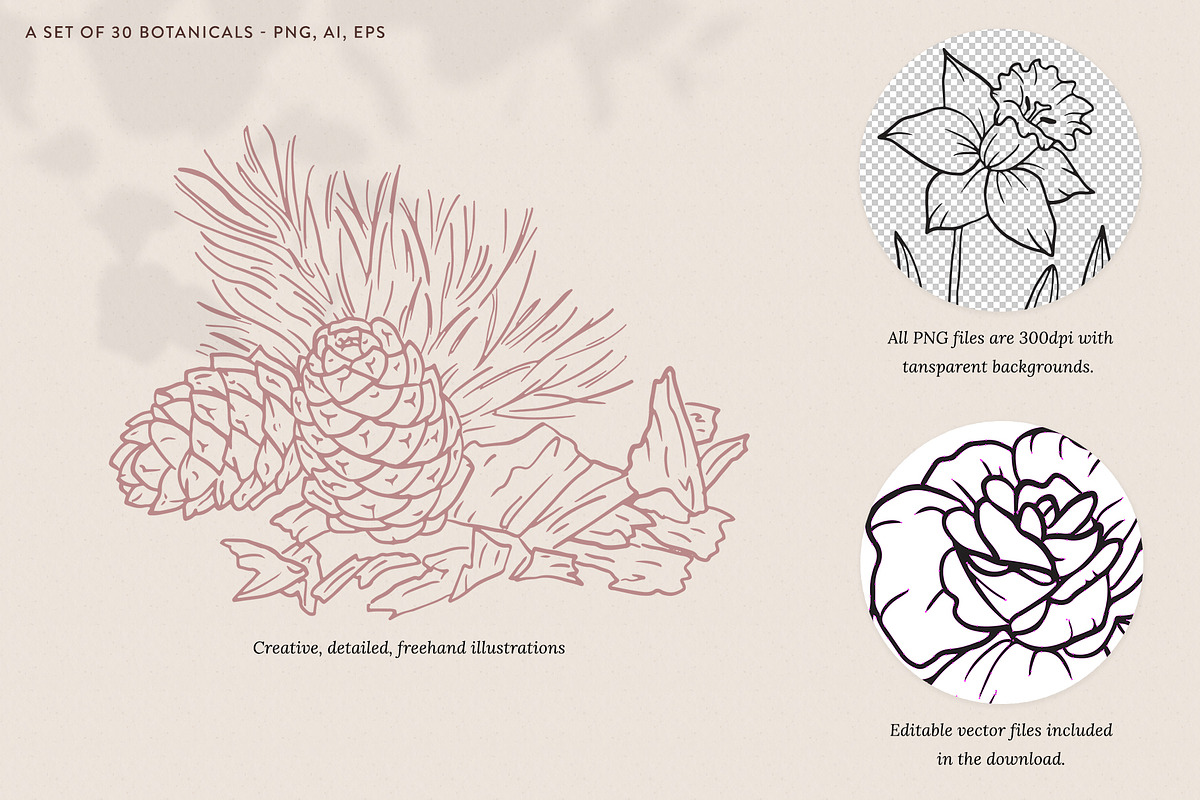 Fragrance Botanicals | 30 designs, an Illustration by amber&ink (Photo 6 of 8)