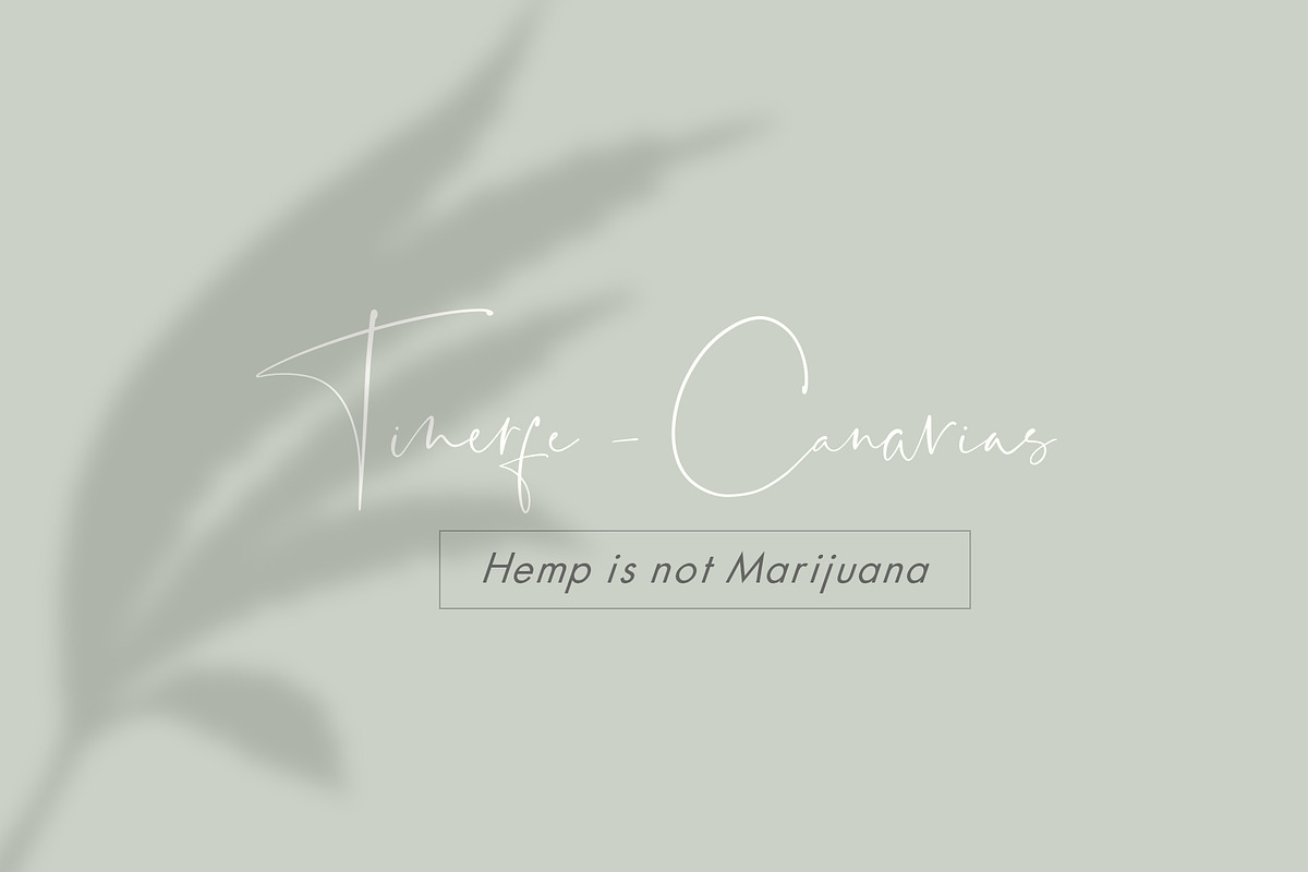 Hemp/Marijuana Shadows & MockUp, a Mockup by Jeanina Vlad (Photo 14 of 17)