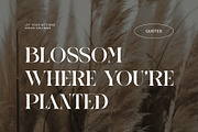 Onnier Elegant Ligature Serif Font T, a Serif Font by Perfectype (Thumbnail 5 of 6)